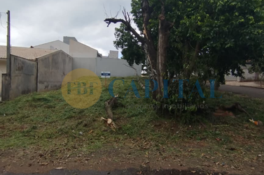 Terreno &agrave; venda - 249m&sup2; - Jardim dos Pass&aacute;ros