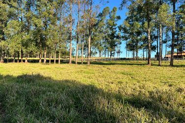 Ch&aacute;cara &agrave; venda - 20000m&sup2; - Estrada  Jaborandi