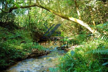 Ch&aacute;cara &agrave; venda - Serra Dos Dourados/ &aacute;rea de 30,000 m&sup2;