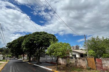Terreno &agrave; venda - 262m&sup2; - Zona III