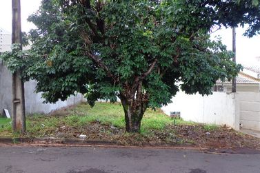 Terreno &agrave; venda - 252m&sup2; - Parque dos Bandeirantes