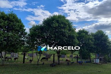 Ch&aacute;cara &agrave; venda - 26m&sup2; - PR 489