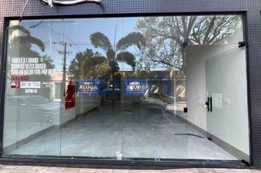 Apartamento para alugar - 60m&sup2; - Zona II