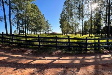 Ch&aacute;cara &agrave; venda - 20000m&sup2; - Estrada  Jaborandi