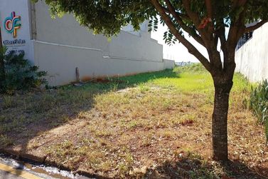 Terreno &agrave; venda - 276m&sup2; - Jardim Am&eacute;rica II