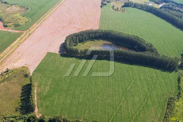 Fazenda &agrave; venda - 72m&sup2; - PR-468