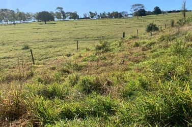Terreno &agrave; venda - 250m&sup2; - Jardim Imp&eacute;rio do Sol