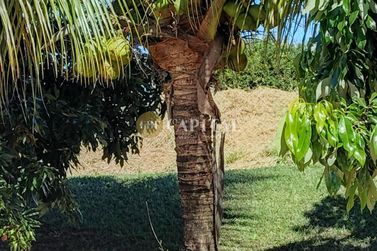 Ch&aacute;cara &agrave; venda - 369m&sup2; - Jardim T&oacute;quio