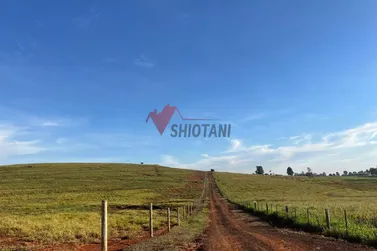 Ch&aacute;cara &agrave; venda - &Aacute;rea Rural de Umuarama