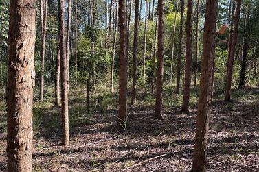 Fazenda &agrave; venda - 27383m&sup2; - Zona Rural