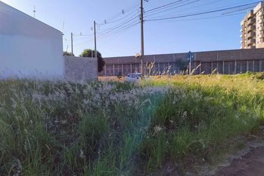 Terreno &agrave; venda - 220m&sup2; - Jardim Modelo