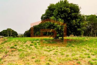 Ch&aacute;cara &agrave; venda - 7000m&sup2; - As margens da rodovia PR-323