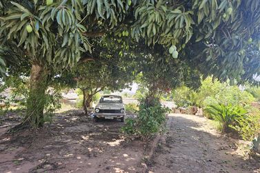 Terreno &agrave; venda - 616m&sup2; - Zona 5