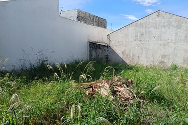 Terreno &agrave; venda - 187m&sup2; - Parque Alto da Paran&aacute;