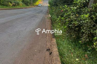 Terreno &agrave; venda - 500m&sup2; - Ip&ecirc;