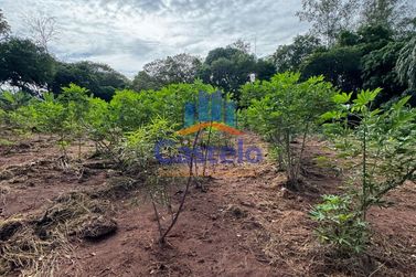 Ch&aacute;cara &agrave; venda - 14688m&sup2; - UMUARAMA