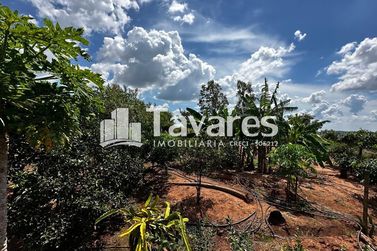 Ch&aacute;cara &agrave; venda - &Aacute;rea Rural de Umuarama
