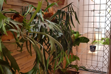 Casa &agrave; venda - 547m&sup2; - Zona I