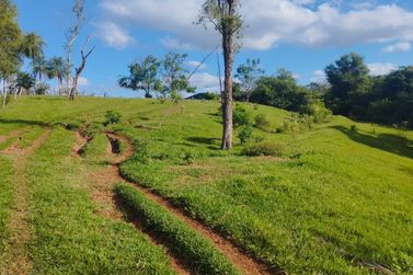 S&iacute;tio &agrave; venda - 96000m&sup2; - Parque Dom Pedro I