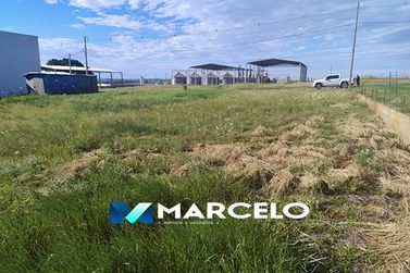 Terreno &agrave; venda - 600m&sup2; - Grevilha Empresarial