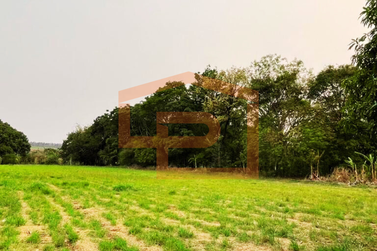 Ch&aacute;cara &agrave; venda - 7000m&sup2; - As margens da rodovia PR-323