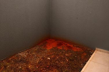 Casa para alugar - Jardim das Cerejeiras