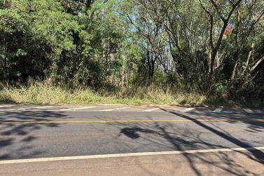 Fazenda &agrave; venda - 52598m&sup2; - Zona Rural