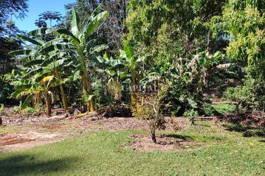 Ch&aacute;cara &agrave; venda - 369m&sup2; - Jardim T&oacute;quio
