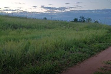 Ch&aacute;cara &agrave; venda - 5000m&sup2; - Zona Rural