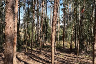 Fazenda &agrave; venda - 27383m&sup2; - Zona Rural
