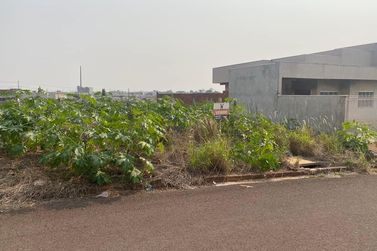 Terreno &agrave; venda - 214m&sup2; - Jardim Aeroporto