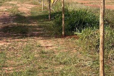 Ch&aacute;cara &agrave; venda - Rod. Henio Romagnoli