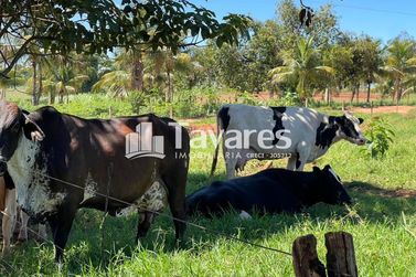 S&iacute;tio &agrave; venda - 95m&sup2; - Centro