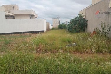 Terreno &agrave; venda - 230m&sup2; - Parque Bandeirantes