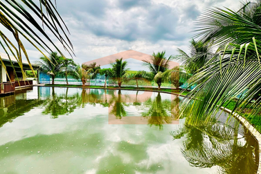 S&iacute;tio &agrave; venda - Rodovia Antonio Pedroso