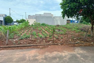 Terreno &agrave; venda - 301m&sup2; - Jardim Colorado