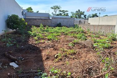 Terreno &agrave; venda - 161m&sup2; - Parque Ibirapuera