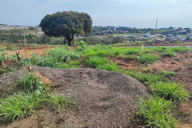 Terreno &agrave; venda - 214m&sup2; - JARDIM AEROPORTO