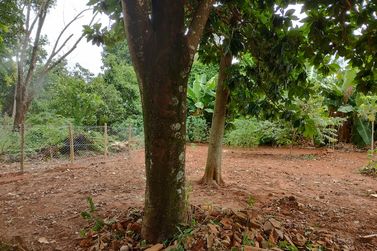 Ch&aacute;cara &agrave; venda - 1800m&sup2; - Saltinho do Oeste