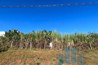 Terreno &agrave; venda - 481m&sup2; - Jardim Europa