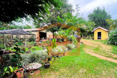 S&iacute;tio &agrave; venda - Estrada Palmital