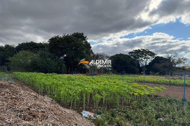 Terreno &agrave; venda - Gleba 12- Jaborandy / Zona Urbana
