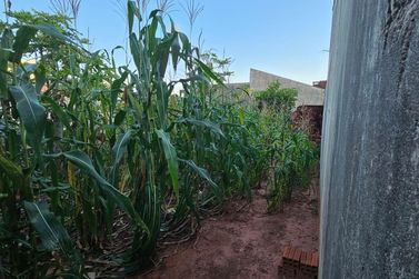 Terreno &agrave; venda - 144m&sup2; - Jardim Tropical