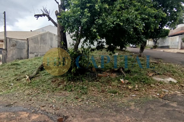 Terreno &agrave; venda - 249m&sup2; - Jardim dos Pass&aacute;ros