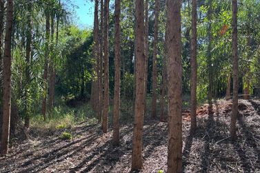 Fazenda &agrave; venda - 27383m&sup2; - Zona Rural