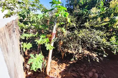 Casa &agrave; venda - Zona V