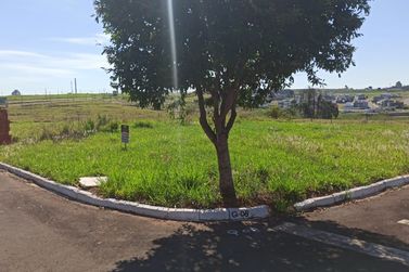 Terreno &agrave; venda - 302m&sup2; - Parque Metropolitano