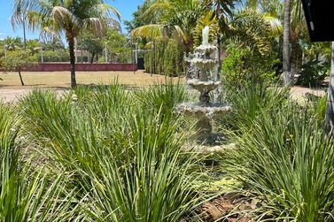 Ch&aacute;cara &agrave; venda - 11000m&sup2; - PR-323