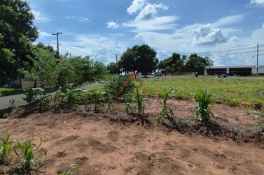 Terreno &agrave; venda - 275m&sup2; - Parque Alto da Paran&aacute;