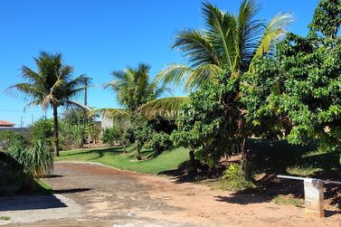 Ch&aacute;cara &agrave; venda - 369m&sup2; - Jardim T&oacute;quio